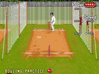 Shane Warne Cricket screenshot 4 for Sega Mega Drive